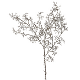 Branche de Pin Séché Noël